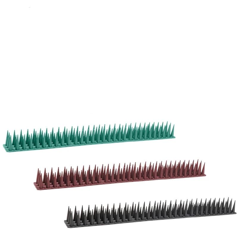 3115-238ef5.jpeg